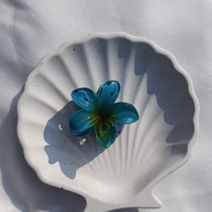 Jelly Gradient Hibiscus